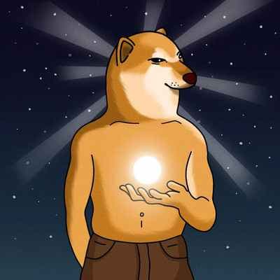 1000CHEEMS COIN TEST COIN 7